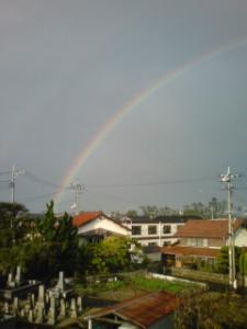 over the rainbow ・・・　!?    (島根)｜「花一」　（島根県益田市の花キューピット加盟店 花屋）のブログ