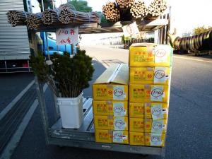 今年も始まりました｜「花一」　（島根県益田市の花キューピット加盟店 花屋）のブログ