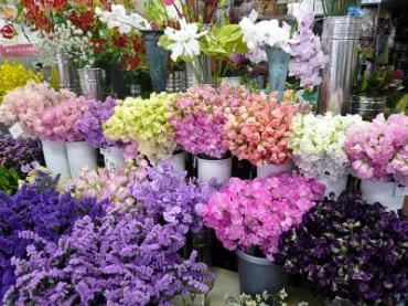 春のカラーパレット｜「花一」　（島根県益田市の花キューピット加盟店 花屋）のブログ