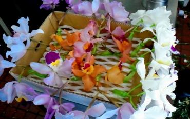 箱いっぱいに・・・・・｜「花一」　（島根県益田市の花キューピット加盟店 花屋）のブログ