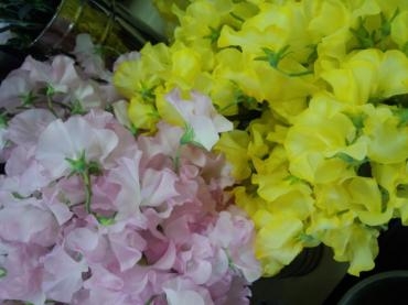 これから冬本番！｜「花一」　（島根県益田市の花キューピット加盟店 花屋）のブログ